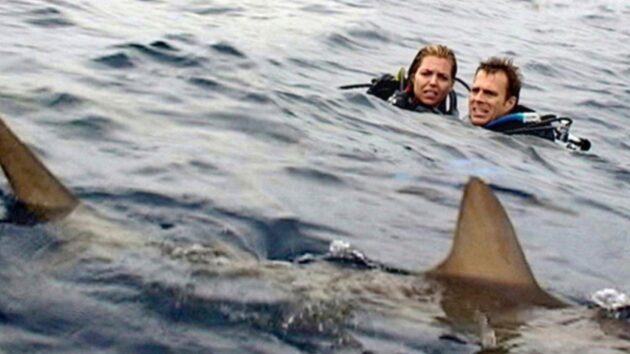 Open Water, en eaux profondes : photo