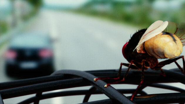 Eega : photo